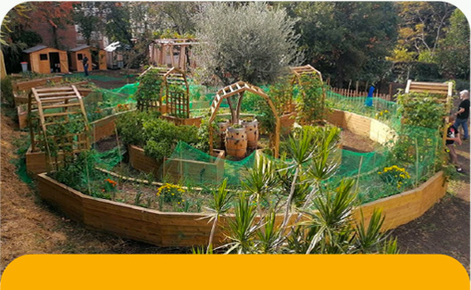Jardin_Fenix Nuestro Jardín Fènix en Pedralbes