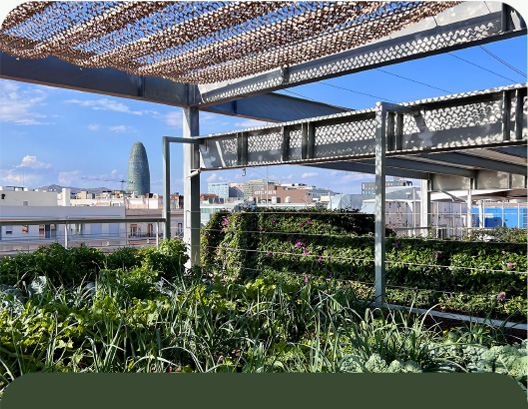 un huerto urbano social con el objetivo de apoyar a la entidad social Centre Sant Martí