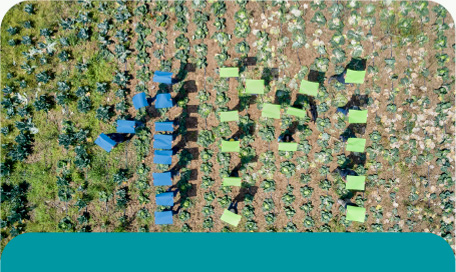 Projecte_Ferrer_For_Food Imatges dels horts ecològics de Ferrer For Food
