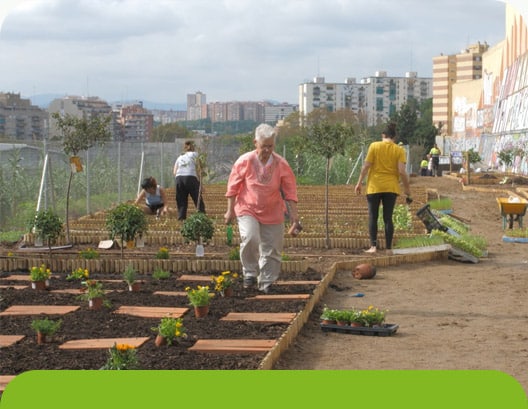 El nostre hort urbà de Sant Martí