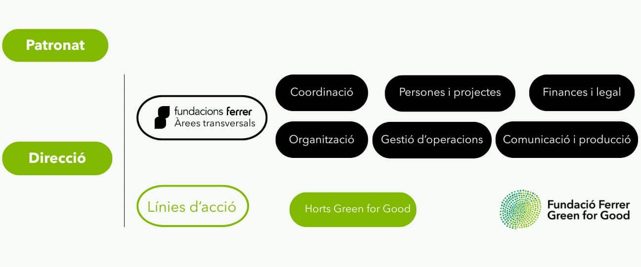Organigramas-web