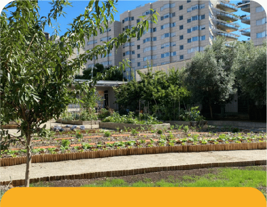Nuestro Jardí Fénix, el segundo huerto urbano terapéutico