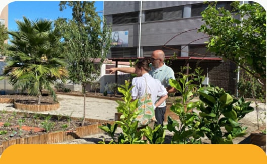 Hort_urba El nostre hort urbà de Sant Martí