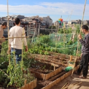 Usuaris de l'Hort La Florida (L'Hospitalet de Llobregat)